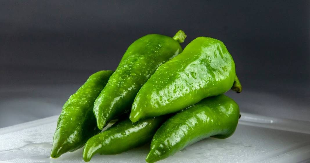 Biberleri taptaze tutuyor. Aylarca çürümüyor ve küflenmiyor - Resim: 6